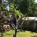 Frühstückspension Kose 3*