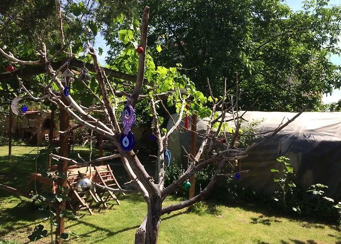 Nocleg ze śniadaniem Kose 3*